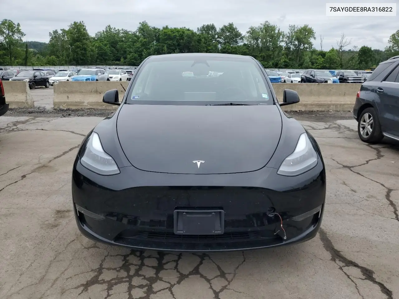 2024 Tesla Model Y VIN: 7SAYGDEE8RA316822 Lot: 60918505