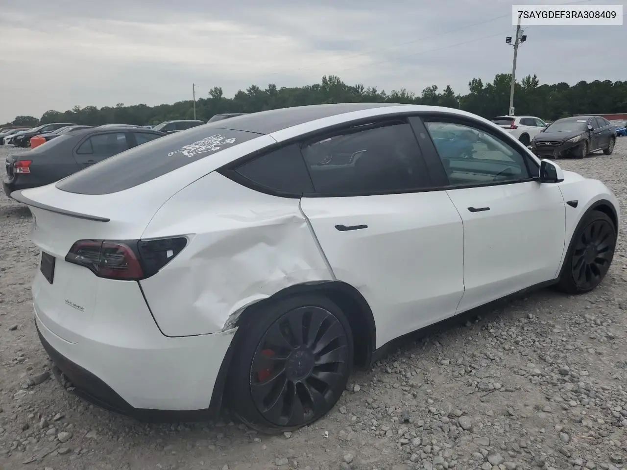 2024 Tesla Model Y VIN: 7SAYGDEF3RA308409 Lot: 62237375