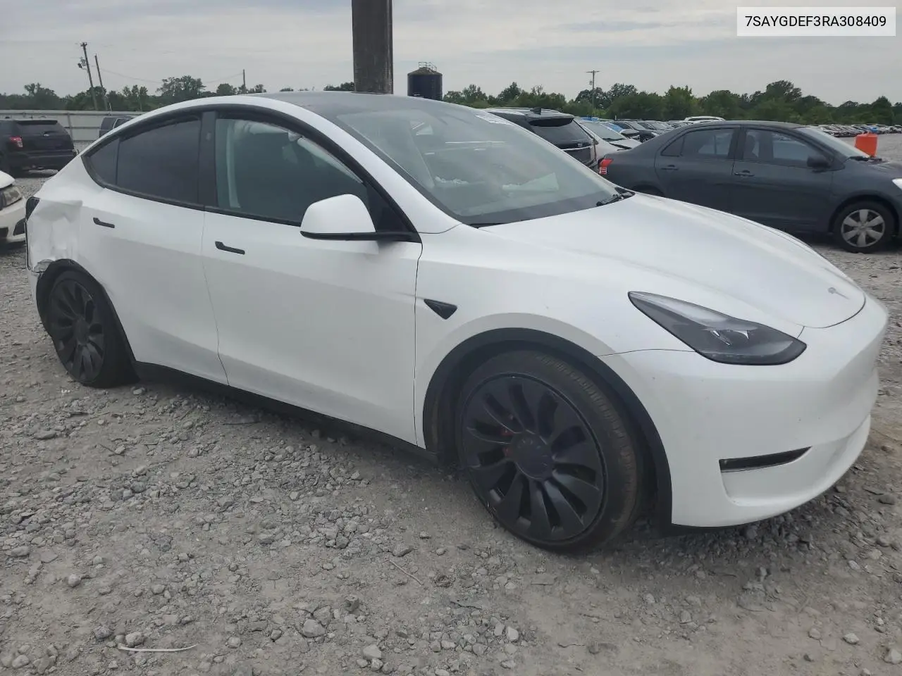 2024 Tesla Model Y VIN: 7SAYGDEF3RA308409 Lot: 62237375