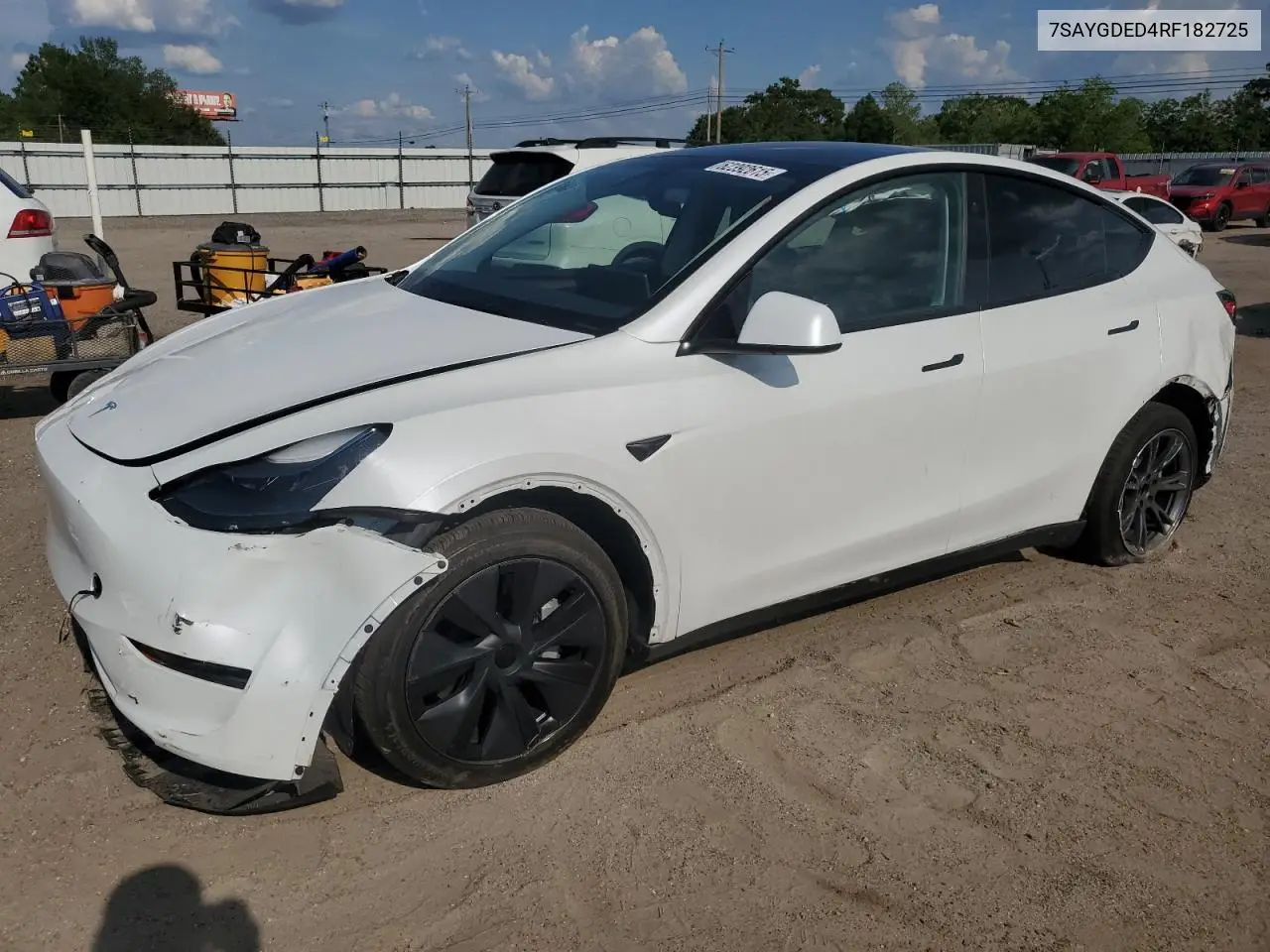 2024 Tesla Model Y VIN: 7SAYGDED4RF182725 Lot: 62392615