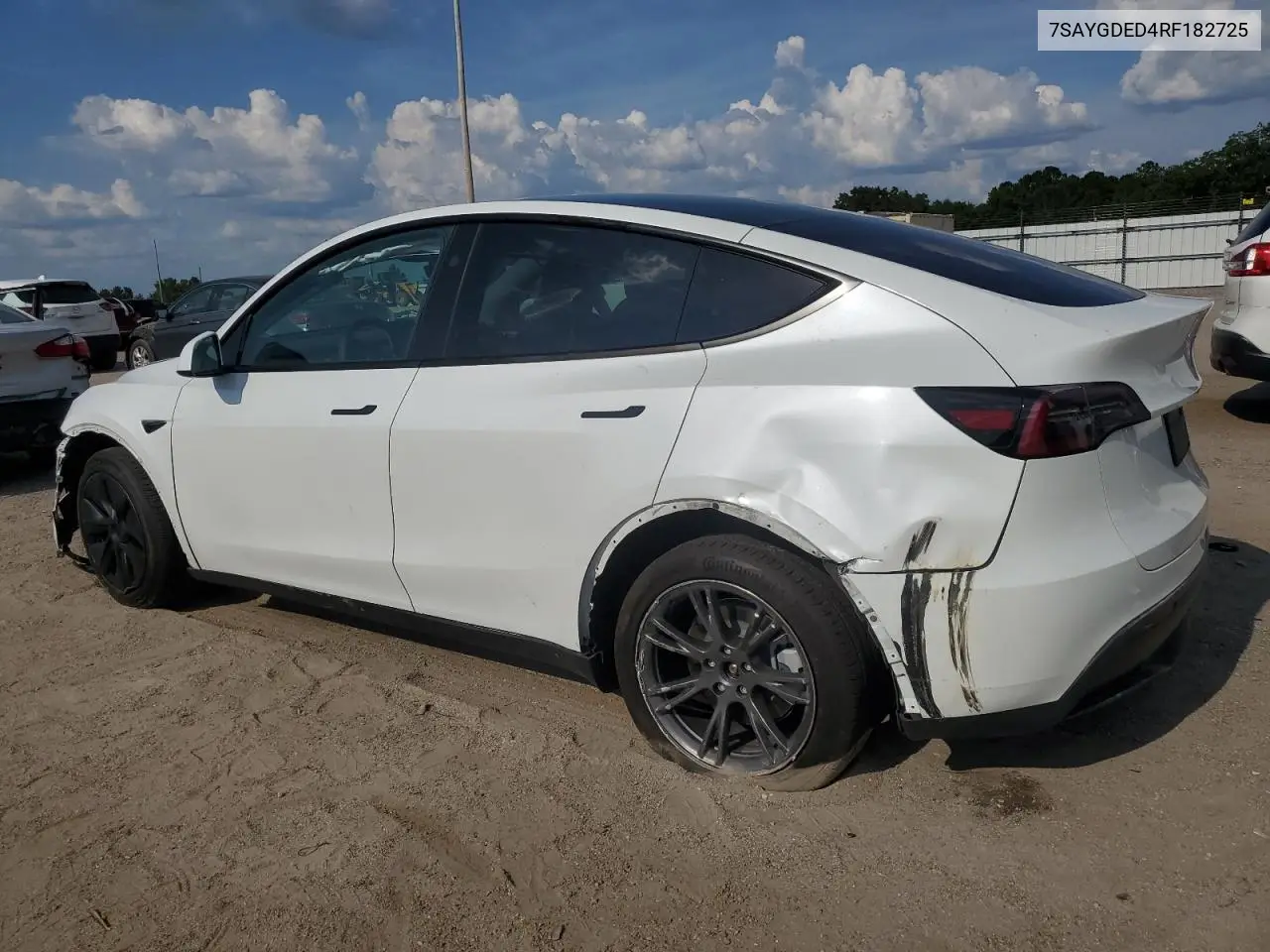 2024 Tesla Model Y VIN: 7SAYGDED4RF182725 Lot: 62392615