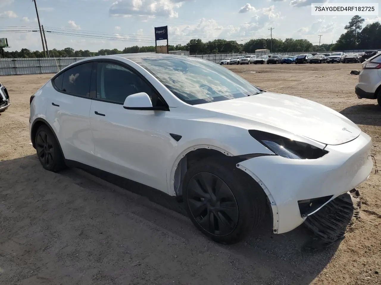 2024 Tesla Model Y VIN: 7SAYGDED4RF182725 Lot: 62392615