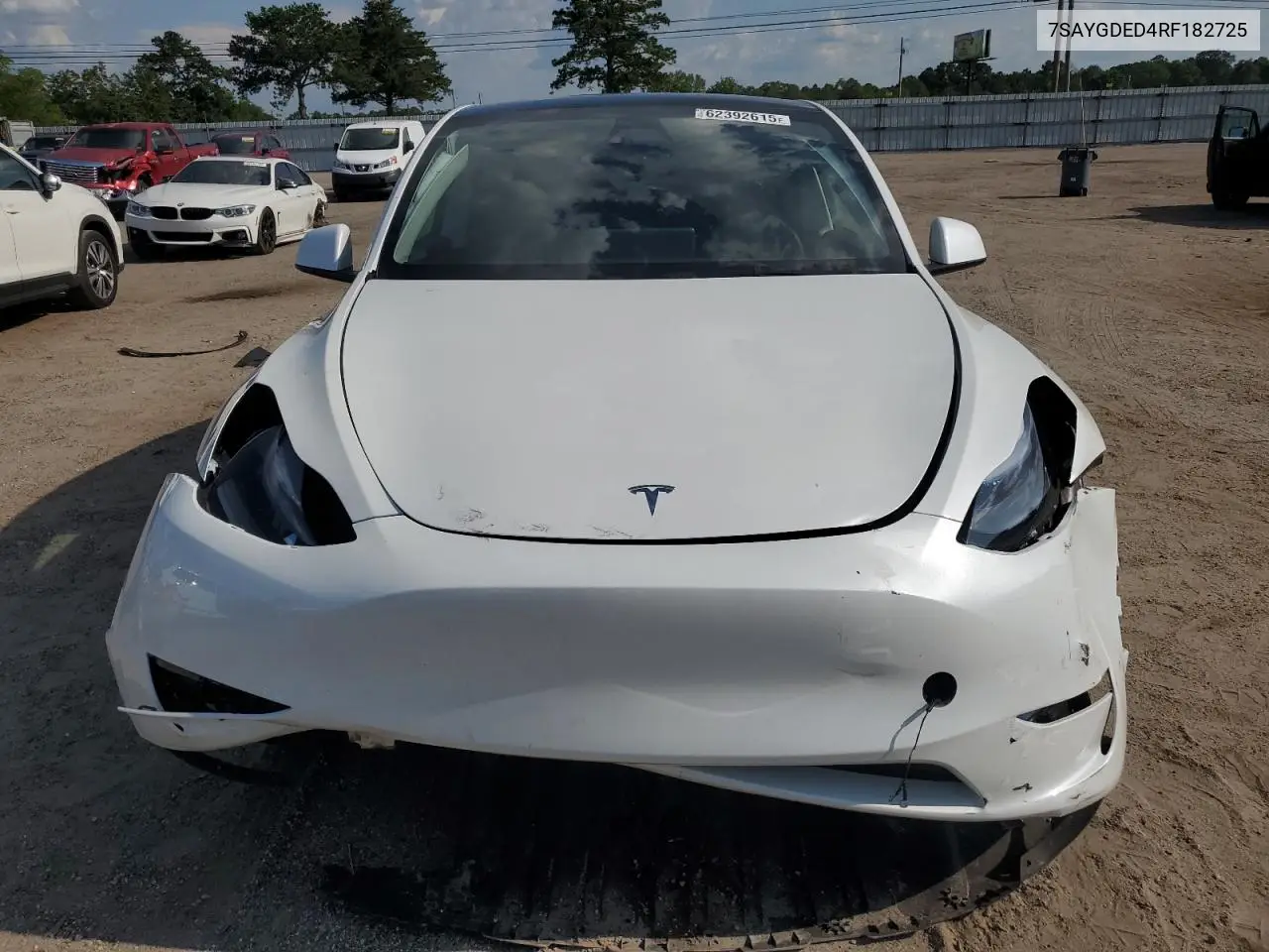 2024 Tesla Model Y VIN: 7SAYGDED4RF182725 Lot: 62392615