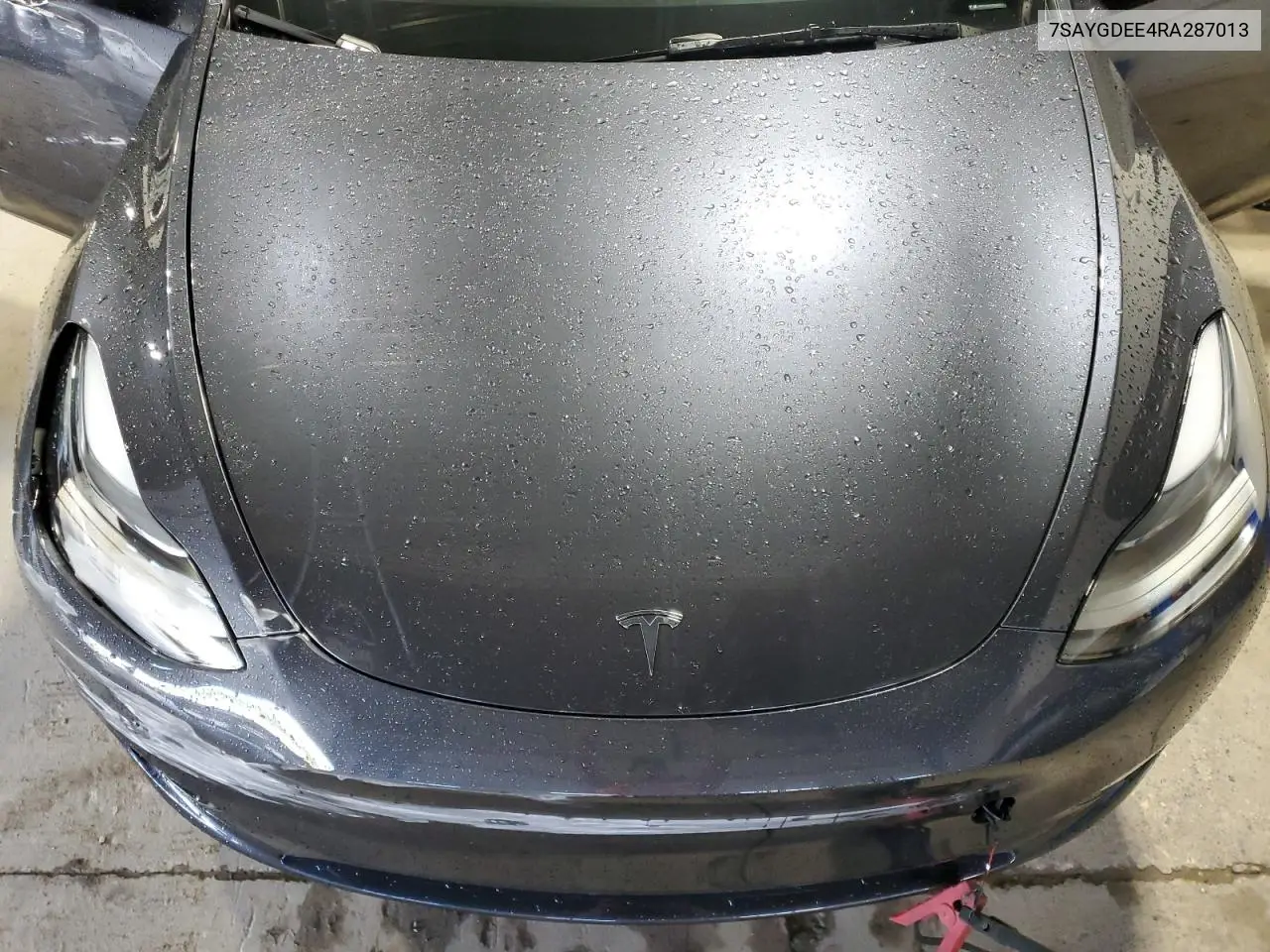 2024 Tesla Model Y VIN: 7SAYGDEE4RA287013 Lot: 62396055