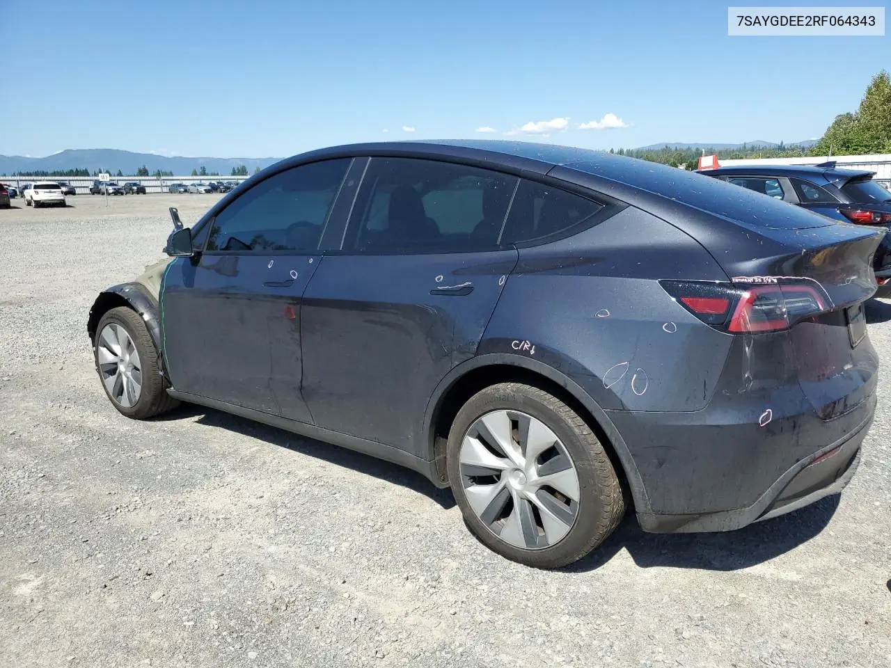 2024 Tesla Model Y VIN: 7SAYGDEE2RF064343 Lot: 62537265