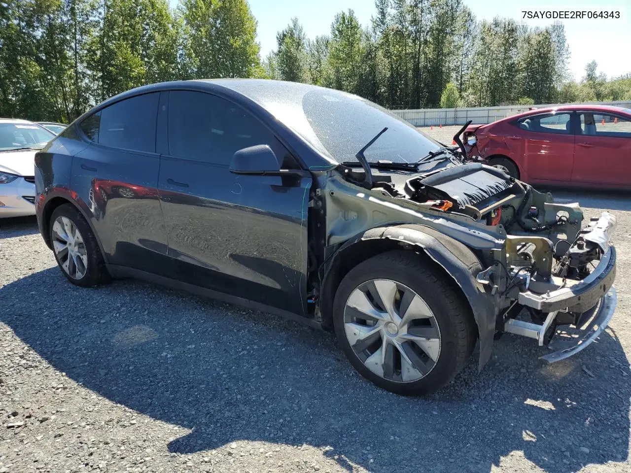 2024 Tesla Model Y VIN: 7SAYGDEE2RF064343 Lot: 62537265