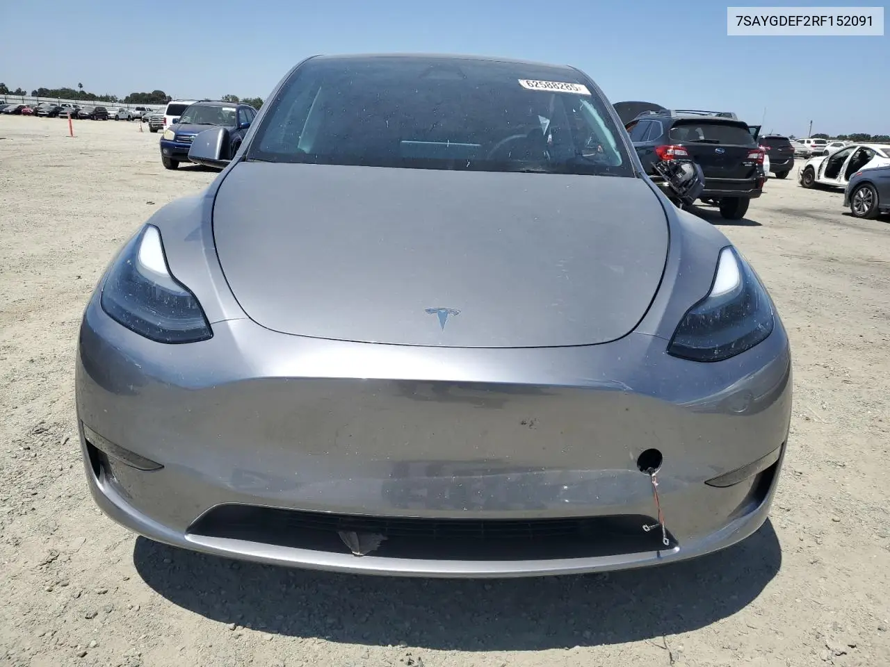 2024 Tesla Model Y VIN: 7SAYGDEF2RF152091 Lot: 62588285