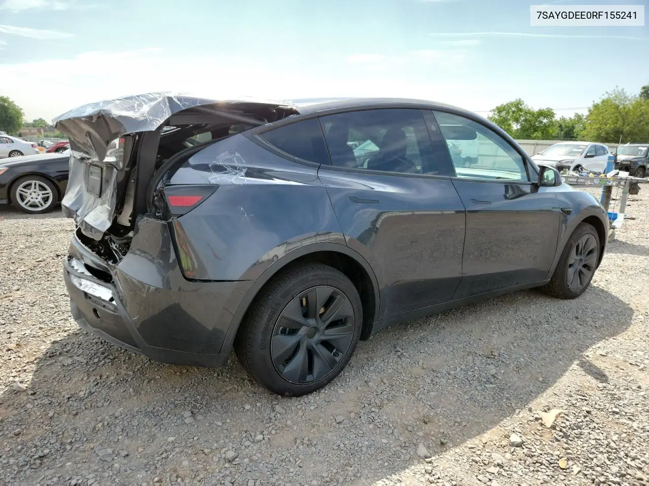 2024 Tesla Model Y VIN: 7SAYGDEE0RF155241 Lot: 62731345