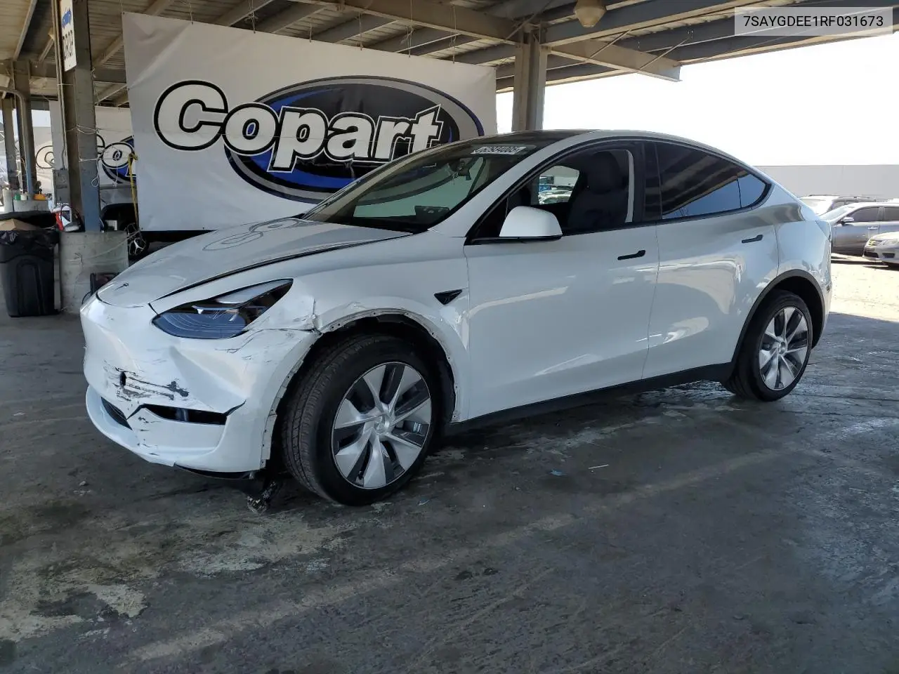 2024 Tesla Model Y VIN: 7SAYGDEE1RF031673 Lot: 62934005