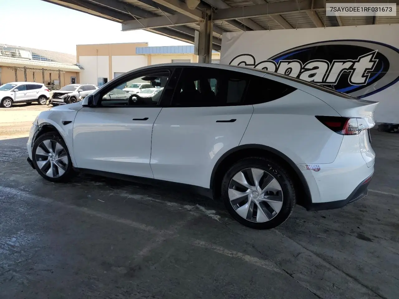 2024 Tesla Model Y VIN: 7SAYGDEE1RF031673 Lot: 62934005