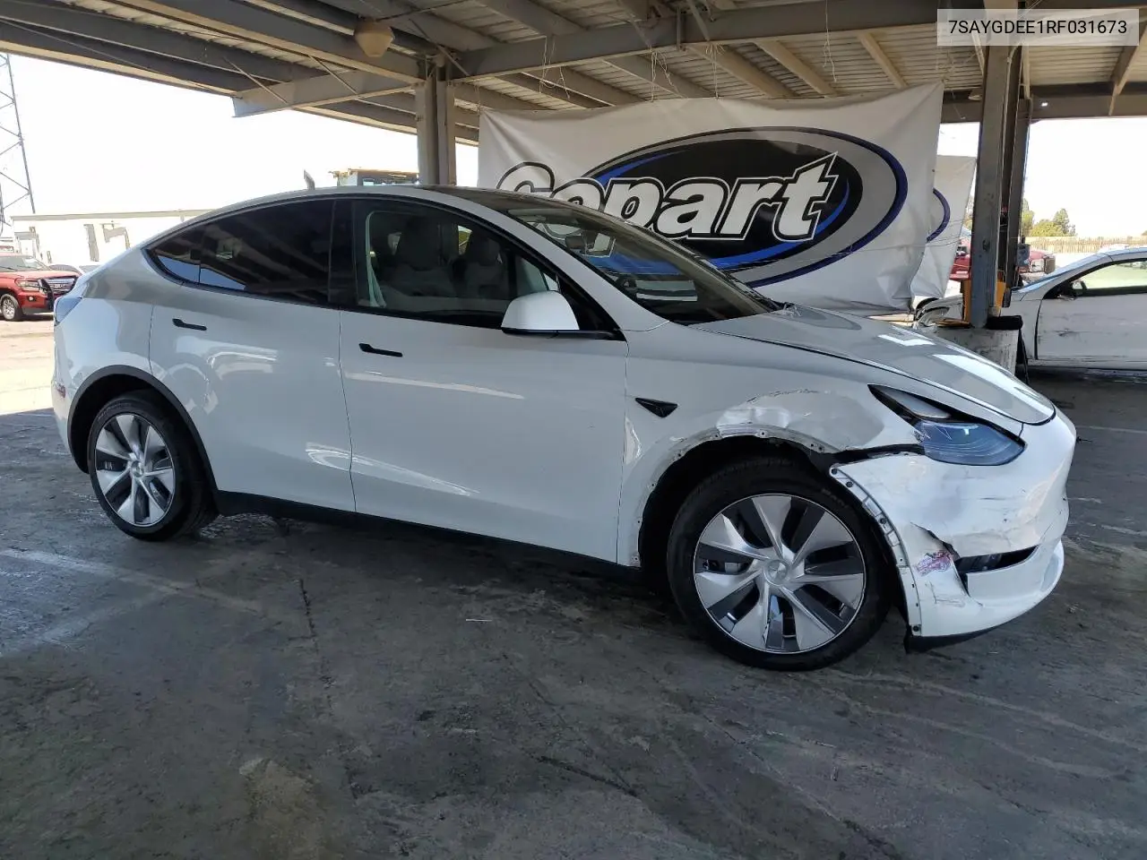 2024 Tesla Model Y VIN: 7SAYGDEE1RF031673 Lot: 62934005