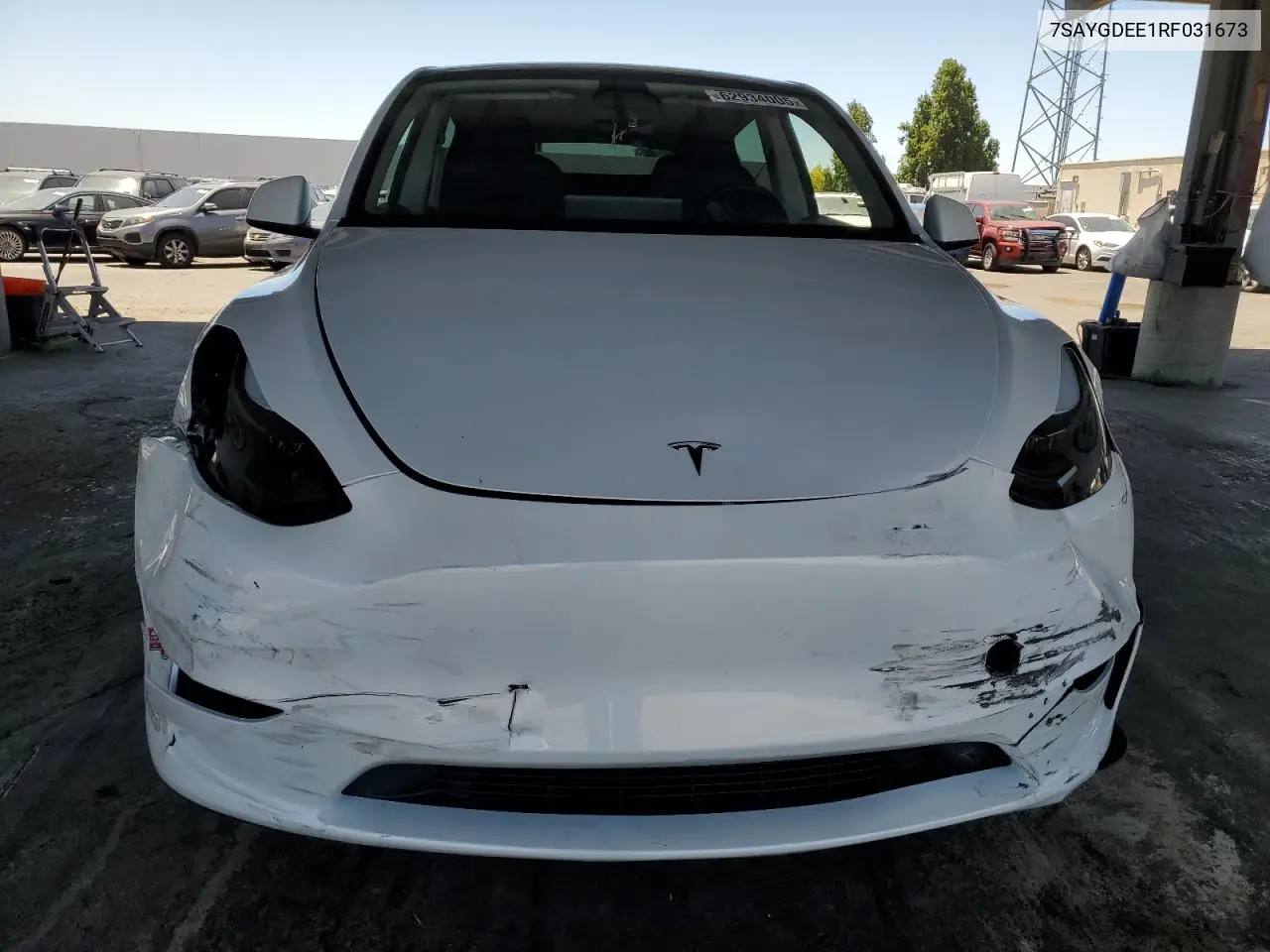 2024 Tesla Model Y VIN: 7SAYGDEE1RF031673 Lot: 62934005