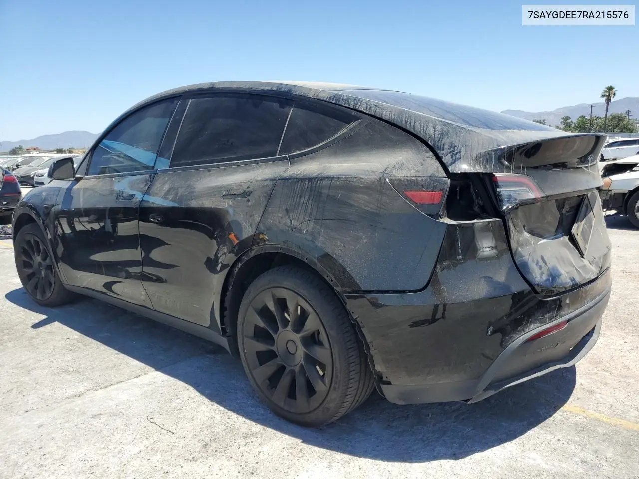 2024 Tesla Model Y VIN: 7SAYGDEE7RA215576 Lot: 63054895