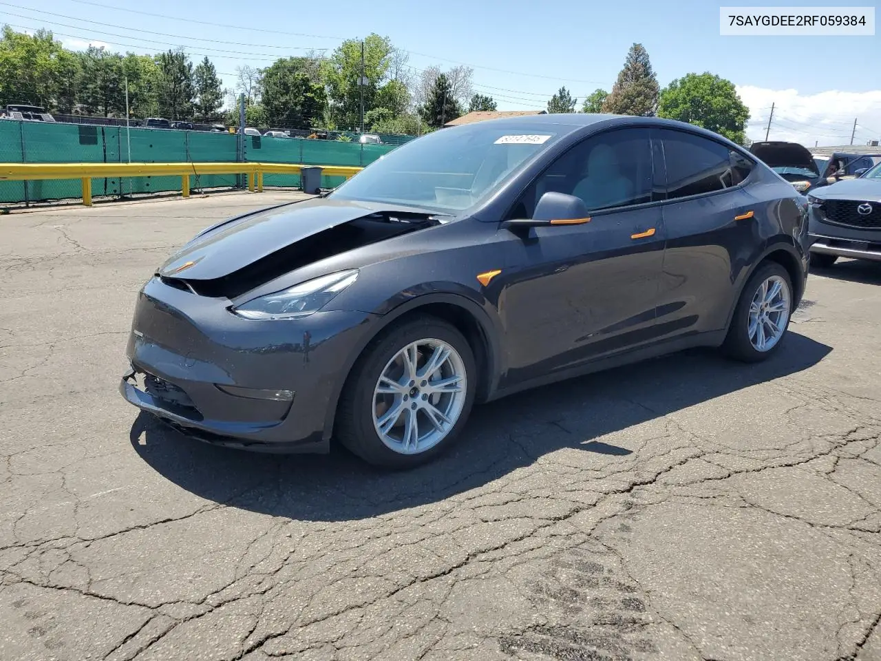 2024 Tesla Model Y VIN: 7SAYGDEE2RF059384 Lot: 63147645