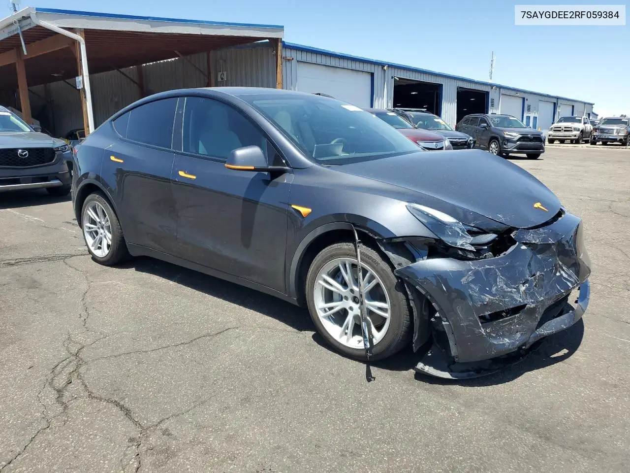 2024 Tesla Model Y VIN: 7SAYGDEE2RF059384 Lot: 63147645