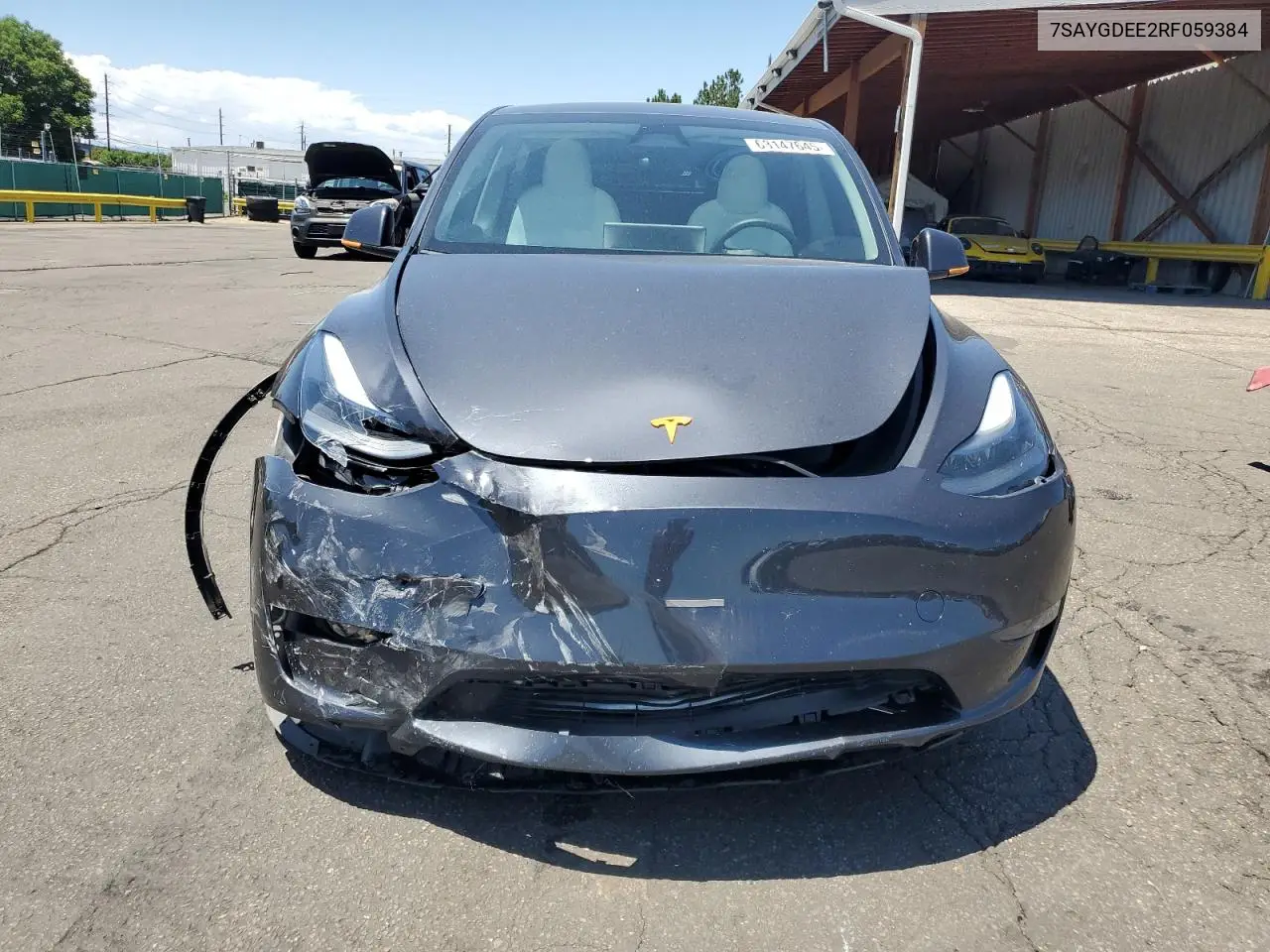 2024 Tesla Model Y VIN: 7SAYGDEE2RF059384 Lot: 63147645