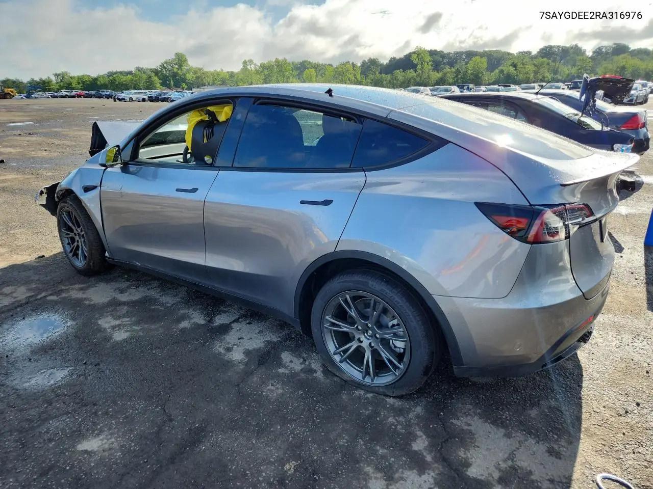 2024 Tesla Model Y VIN: 7SAYGDEE2RA316976 Lot: 64211405