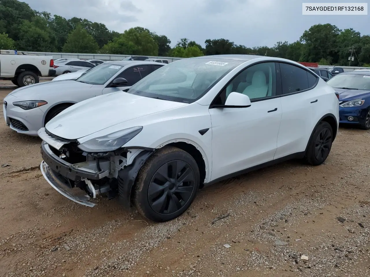 2024 Tesla Model Y VIN: 7SAYGDED1RF132168 Lot: 64491885