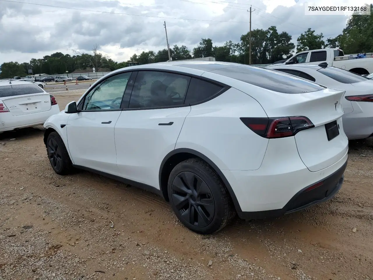 2024 Tesla Model Y VIN: 7SAYGDED1RF132168 Lot: 64491885