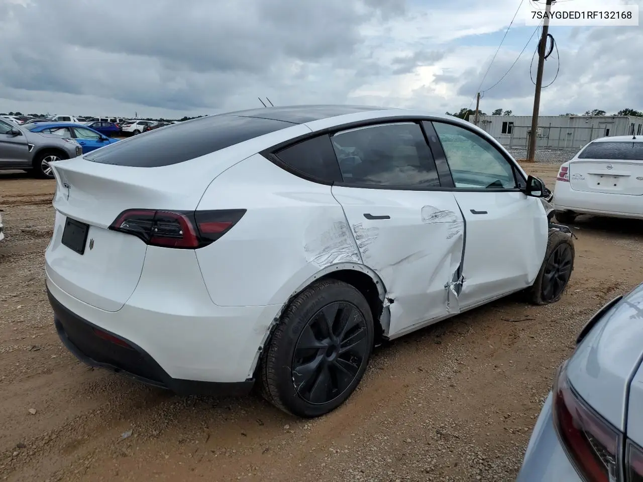 2024 Tesla Model Y VIN: 7SAYGDED1RF132168 Lot: 64491885