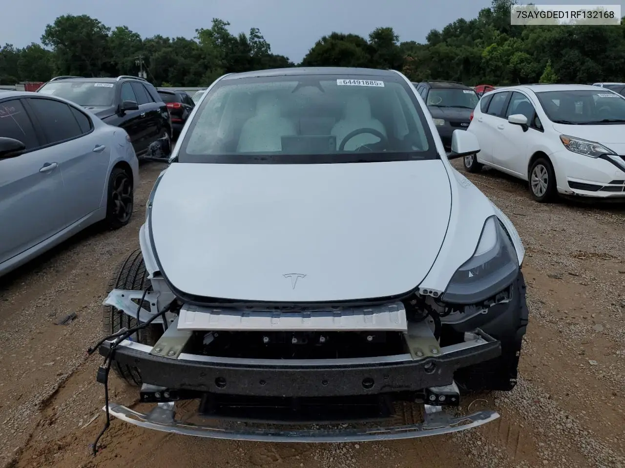 2024 Tesla Model Y VIN: 7SAYGDED1RF132168 Lot: 64491885
