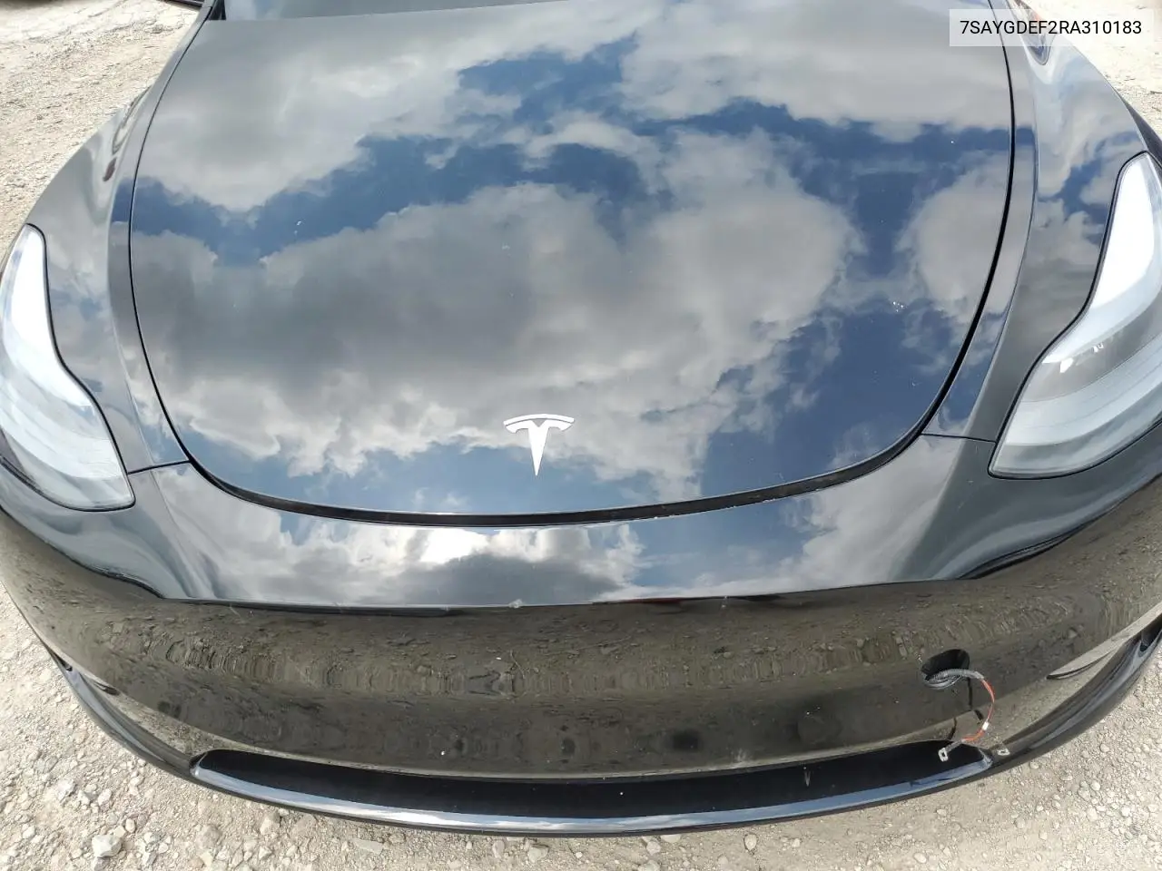 2024 Tesla Model Y VIN: 7SAYGDEF2RA310183 Lot: 65417285