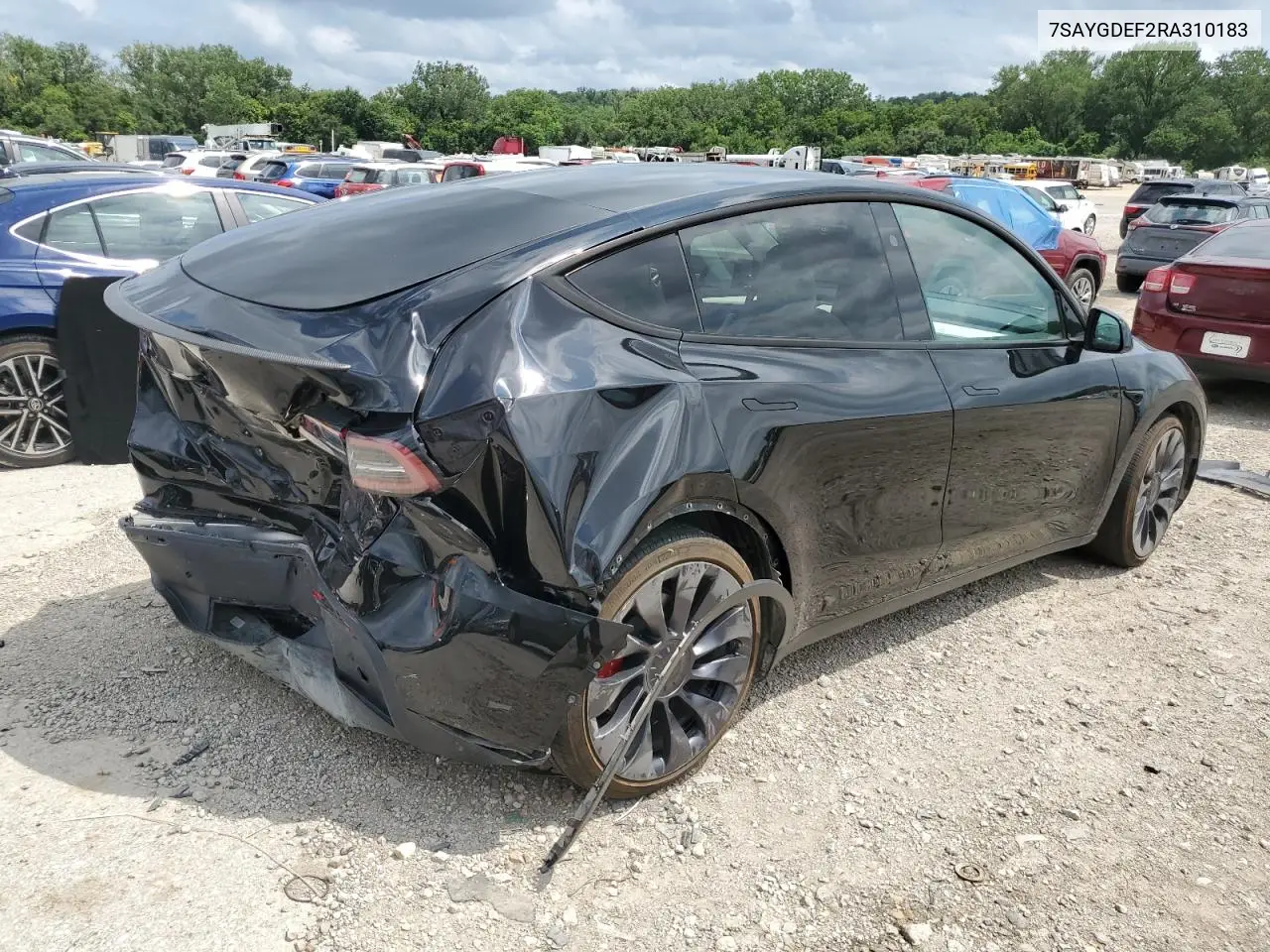 2024 Tesla Model Y VIN: 7SAYGDEF2RA310183 Lot: 65417285