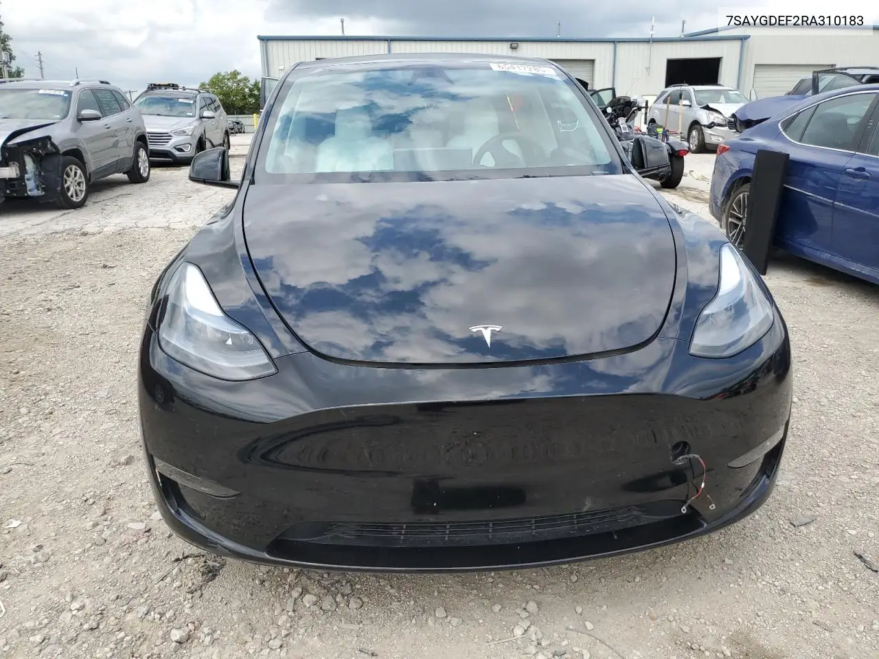 2024 Tesla Model Y VIN: 7SAYGDEF2RA310183 Lot: 65417285