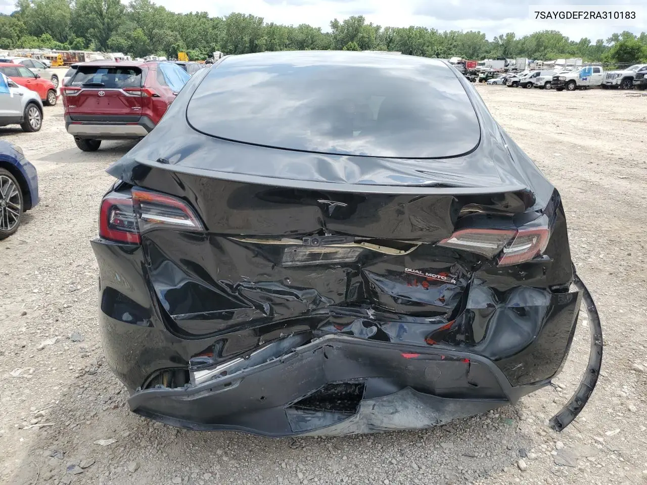 2024 Tesla Model Y VIN: 7SAYGDEF2RA310183 Lot: 65417285