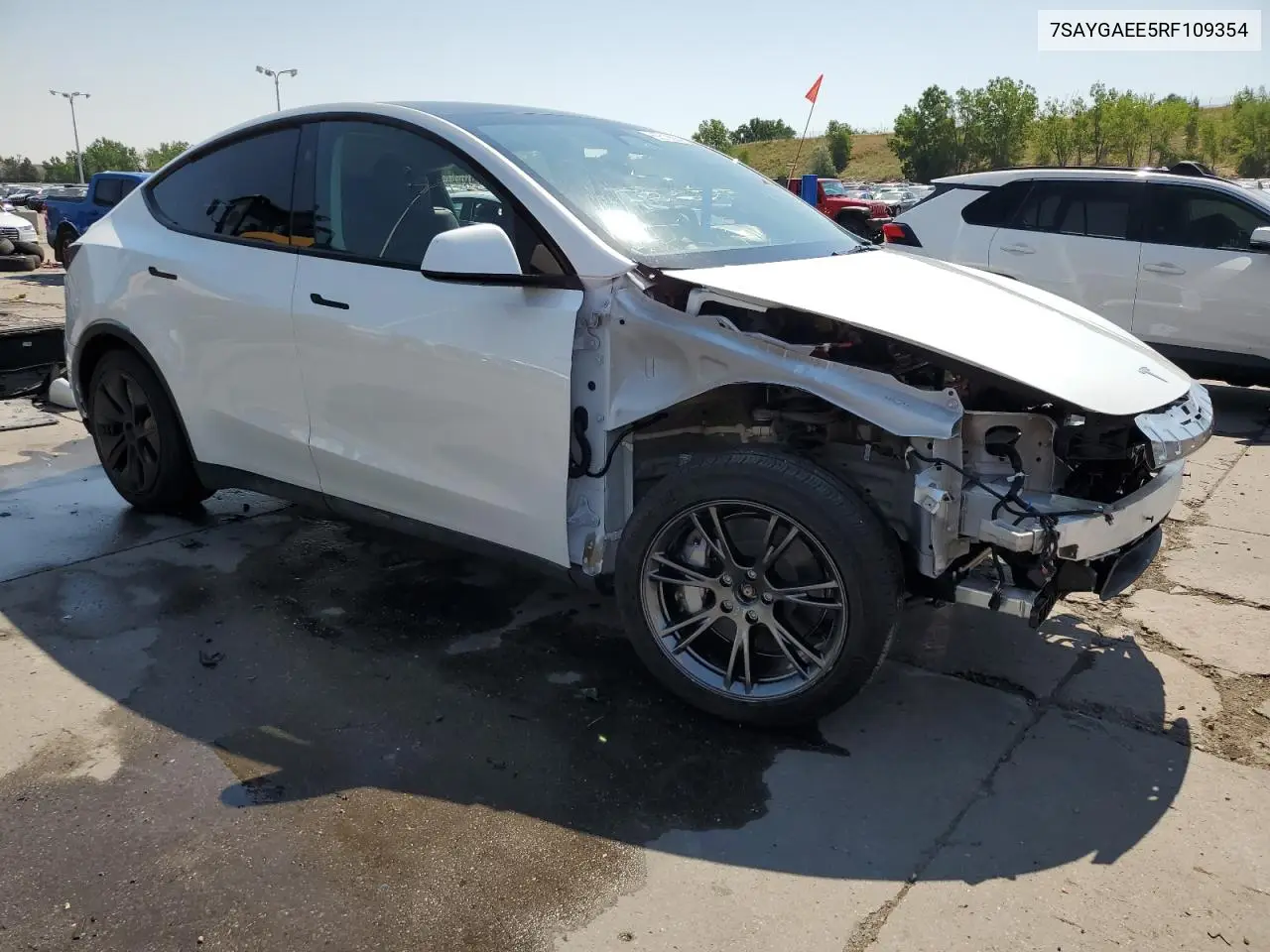 2024 Tesla Model Y VIN: 7SAYGAEE5RF109354 Lot: 65518555