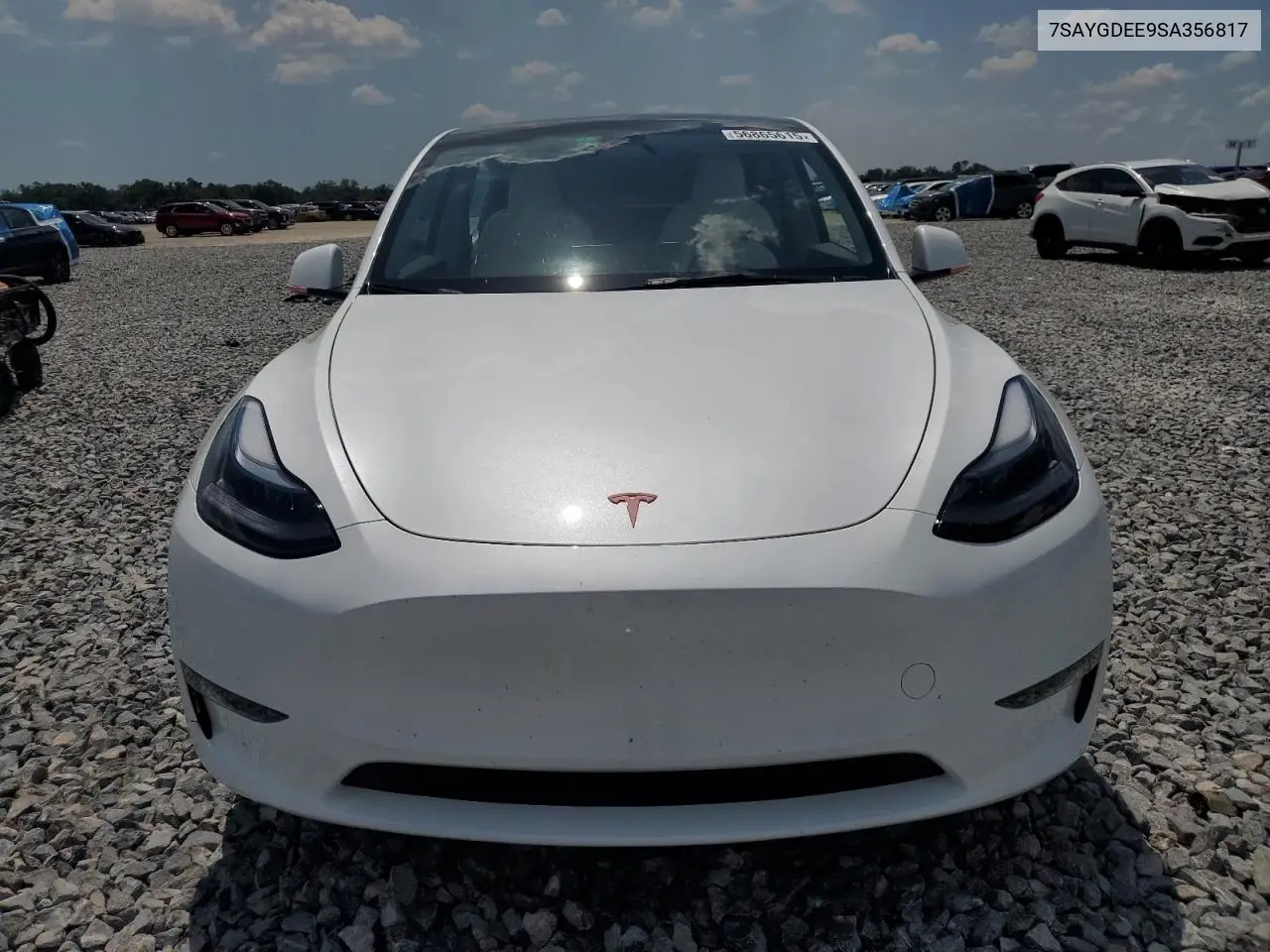 2025 Tesla Model Y VIN: 7SAYGDEE9SA356817 Lot: 56865615