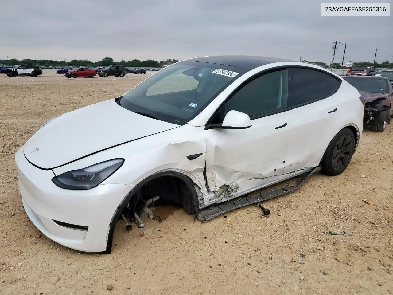 2025 Tesla Model Y VIN: 7SAYGAEE6SF255316 Lot: 57067985