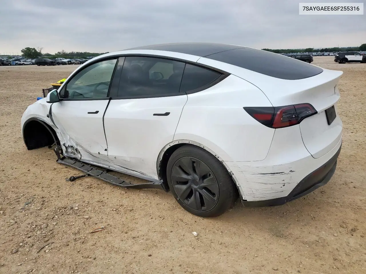 2025 Tesla Model Y VIN: 7SAYGAEE6SF255316 Lot: 57067985