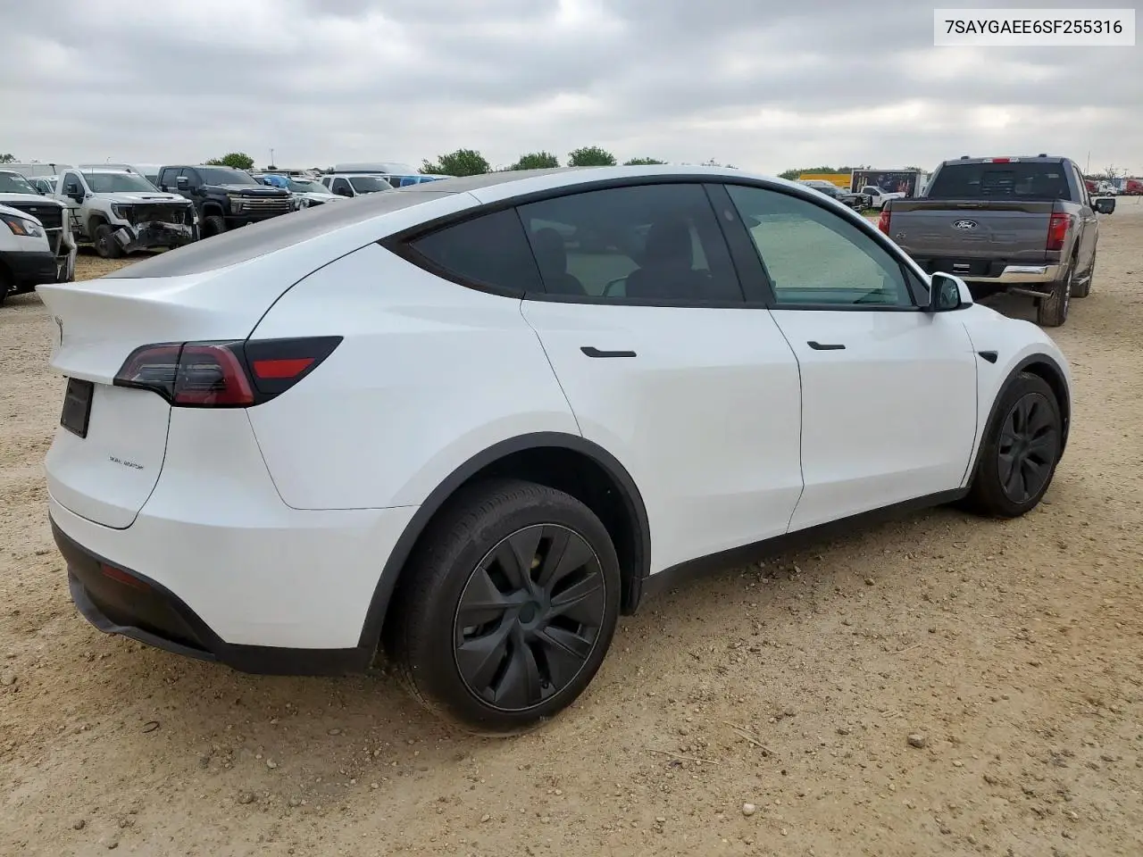 2025 Tesla Model Y VIN: 7SAYGAEE6SF255316 Lot: 57067985