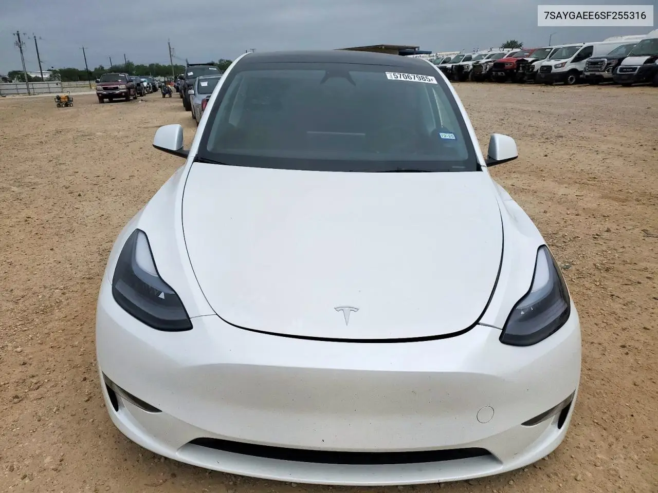 2025 Tesla Model Y VIN: 7SAYGAEE6SF255316 Lot: 57067985