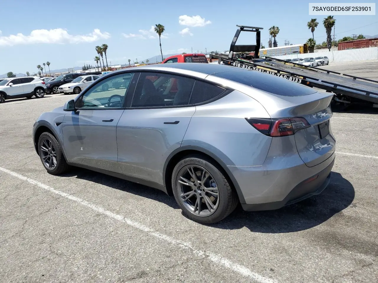 2025 Tesla Model Y VIN: 7SAYGDED6SF253901 Lot: 57075245