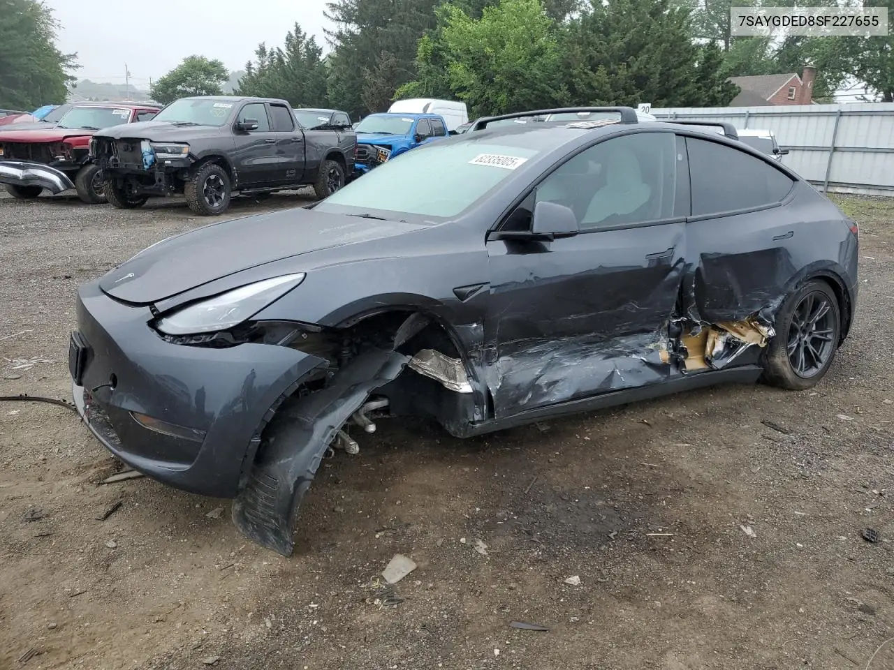 2025 Tesla Model Y VIN: 7SAYGDED8SF227655 Lot: 62335005
