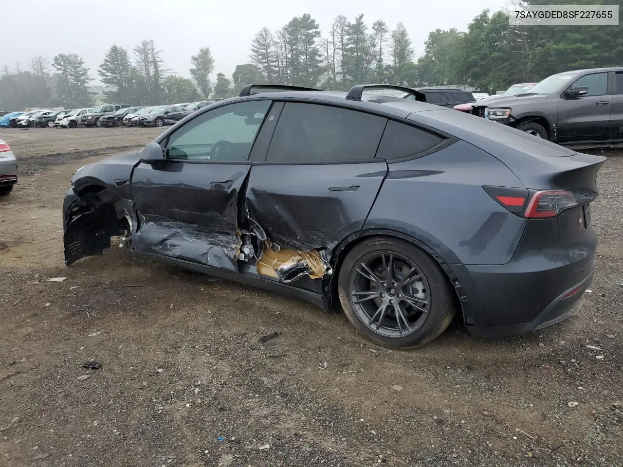 2025 Tesla Model Y VIN: 7SAYGDED8SF227655 Lot: 62335005
