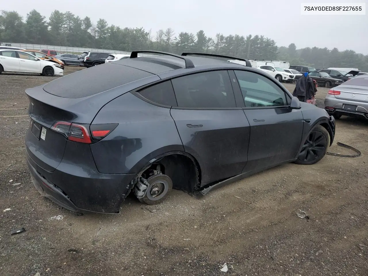 2025 Tesla Model Y VIN: 7SAYGDED8SF227655 Lot: 62335005