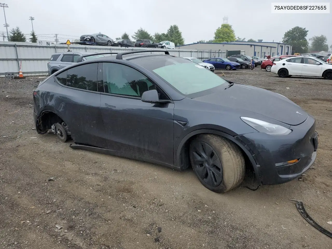 2025 Tesla Model Y VIN: 7SAYGDED8SF227655 Lot: 62335005