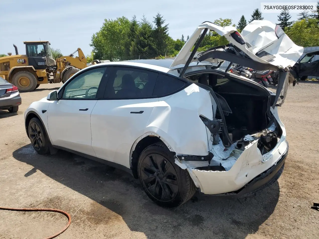 2025 Tesla Model Y VIN: 7SAYGDEE0SF283002 Lot: 62846325