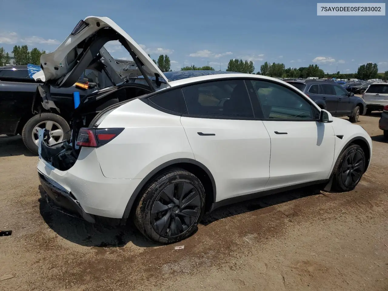 2025 Tesla Model Y VIN: 7SAYGDEE0SF283002 Lot: 62846325