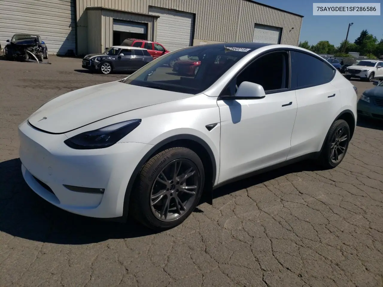 2025 Tesla Model Y VIN: 7SAYGDEE1SF286586 Lot: 62850215