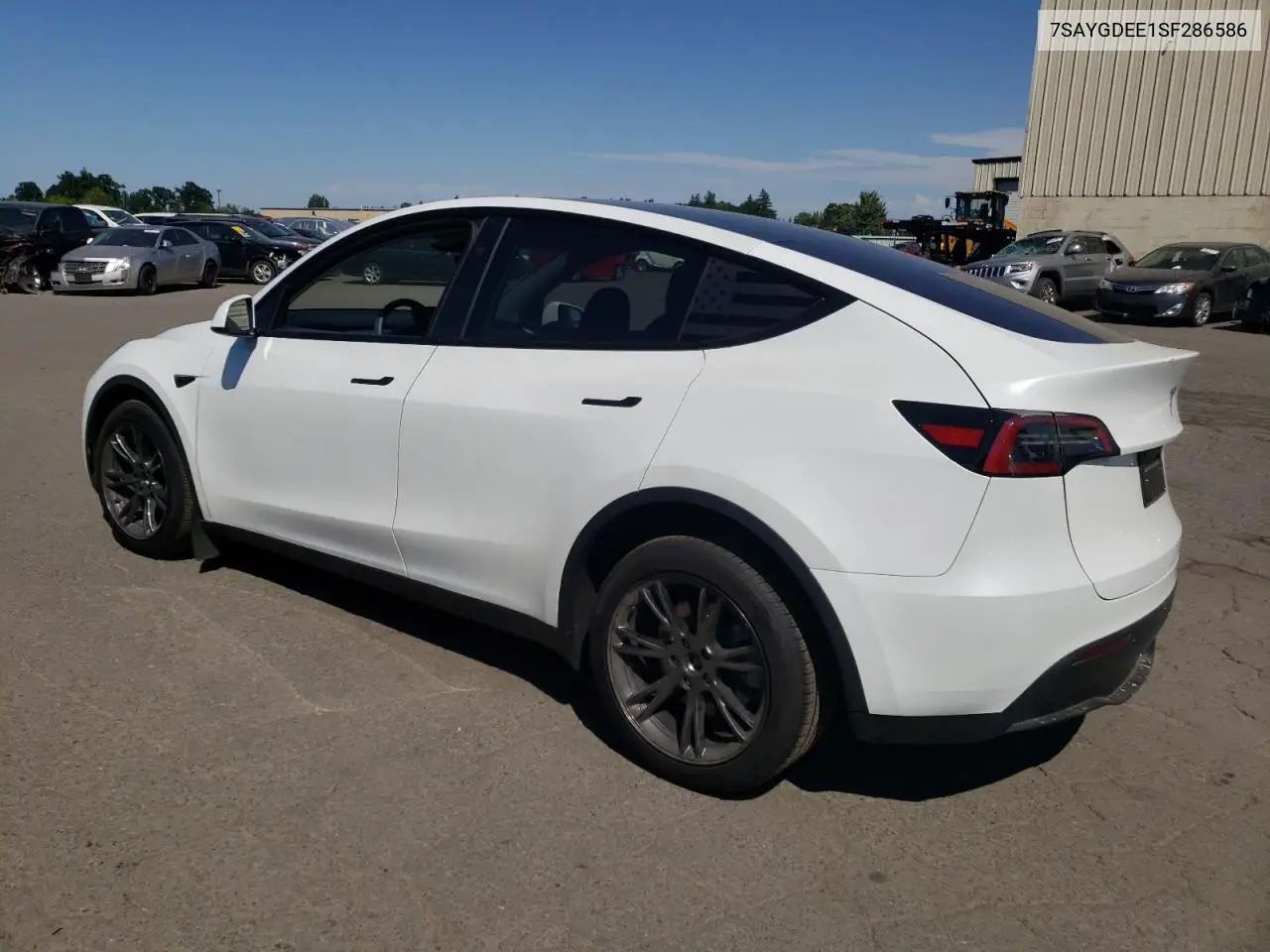 2025 Tesla Model Y VIN: 7SAYGDEE1SF286586 Lot: 62850215
