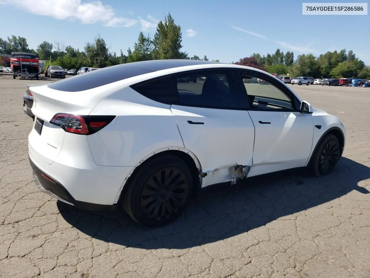 2025 Tesla Model Y VIN: 7SAYGDEE1SF286586 Lot: 62850215