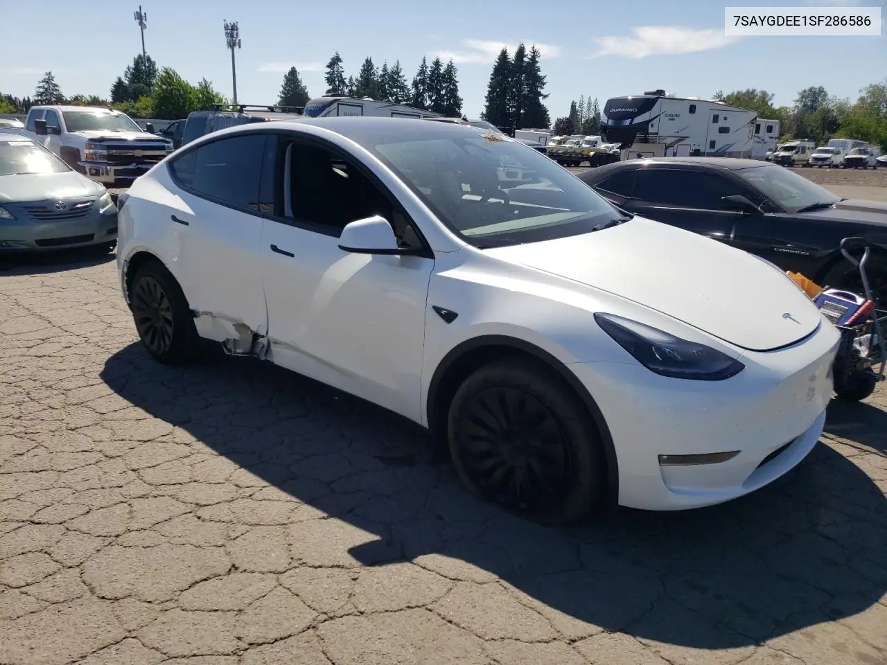 2025 Tesla Model Y VIN: 7SAYGDEE1SF286586 Lot: 62850215