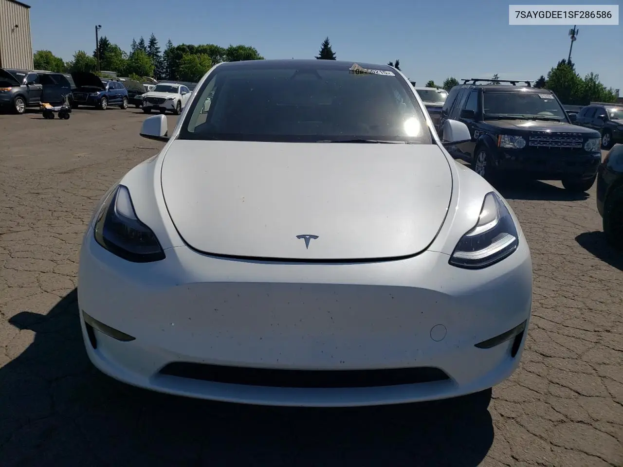 2025 Tesla Model Y VIN: 7SAYGDEE1SF286586 Lot: 62850215