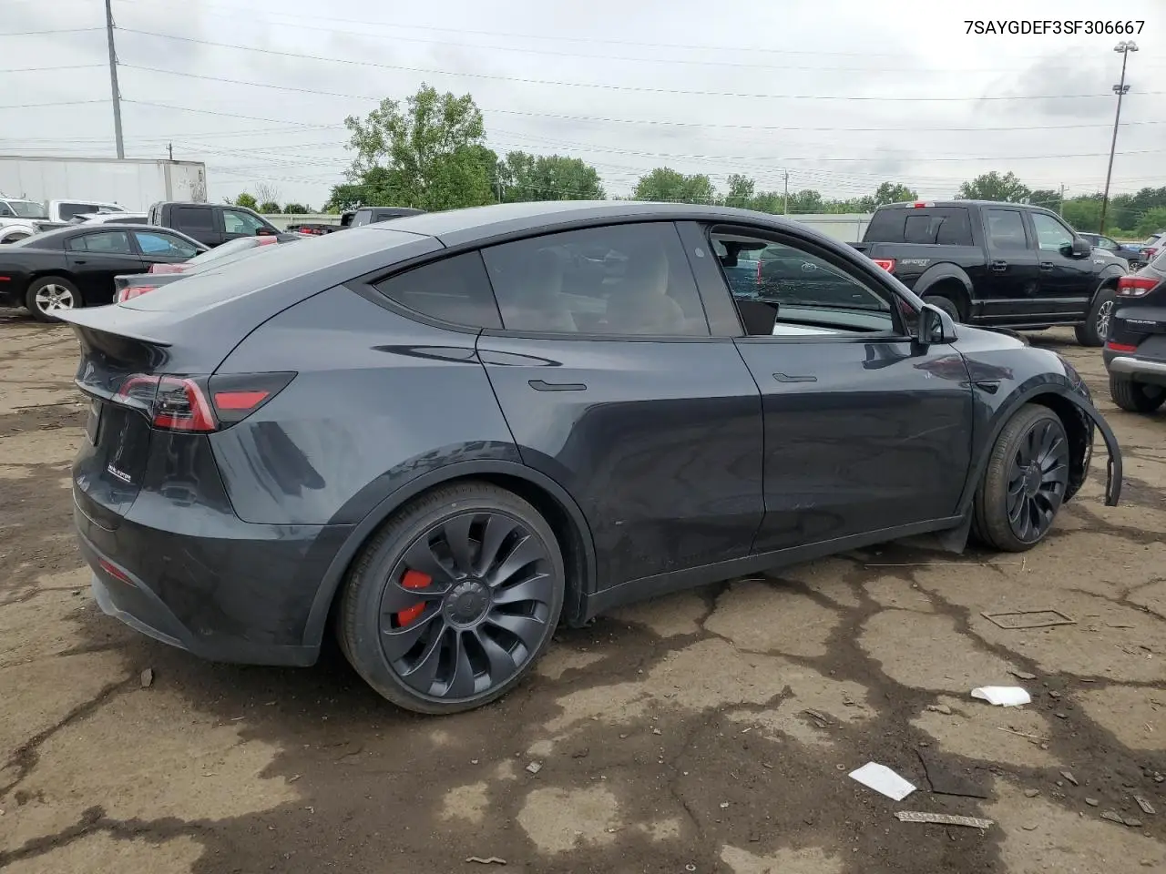 2025 Tesla Model Y VIN: 7SAYGDEF3SF306667 Lot: 62927505