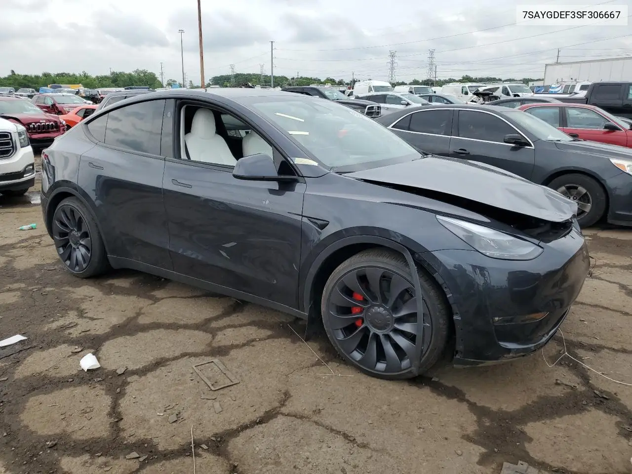 2025 Tesla Model Y VIN: 7SAYGDEF3SF306667 Lot: 62927505