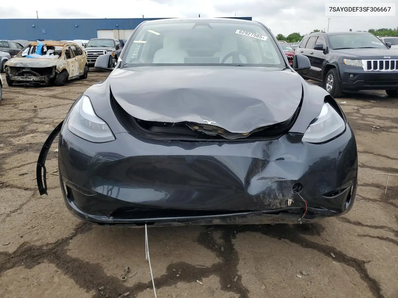 2025 Tesla Model Y VIN: 7SAYGDEF3SF306667 Lot: 62927505